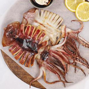 [강영수산]구룡포 반건조오징어 5미 소 (450g)