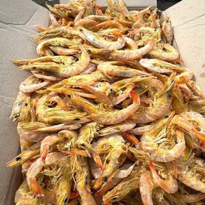 [명화씨푸드] 국내산 햇 건새우 중하새우 1.5kg 볶음 조림 국물 육수