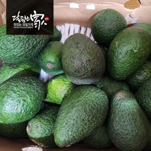 아보카도 중과 10과(180g내외)