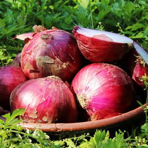 [팔도농장] 무안 자색양파(특) 10kg