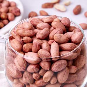 [맛딜]신선하고 고소한 국내산 생땅콩 날땅콩 500g(무료배송)