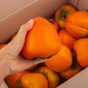 국내산 대봉감 10kg 대과 31-40과 개당 250-330g