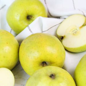 의성 흠집 황금사과(시나노골드) 소 3kg