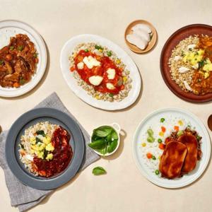 홀리셔스 나라별 (이태리,인도,일본,중국,한국) 식단관리 감탄도시락5종10팩