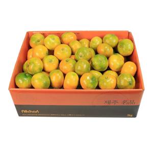 제주 노지 감귤 선물세트 5kg 10kg