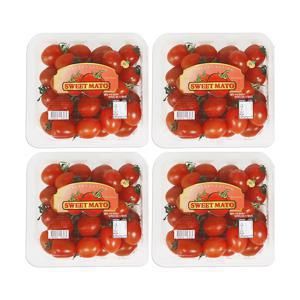 꿀 바른듯 스테비아 방울토마토 스윗마토 2kg (500g*4팩)