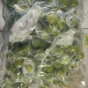 당일 수확 고당도 프리미엄 샤인머스켓 2kg/4kg