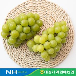 경북 영천 못난이 샤인머스캣 1.5kg 2~3수 개당중량 500g이상