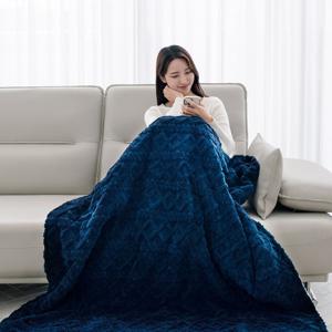 오아 포그밍L 전기 무릎 담요 온열 캠핑 휴대용 사무실 차량용 전기요 물세탁