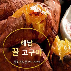 해남 꿀고구마 베니하루카 3kg 5kg 10kg