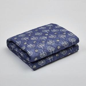 국산 한일의료기 전기요 탄소 전기매트 2인용 양면 캠핑 전기요 2인 1인