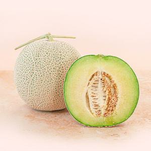 사시사철 14Brix 스윗 머스크 메론 1.2kg 중소과 2입 특품