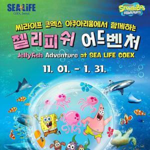 서울 삼성 씨라이프 코엑스아쿠아리움 단독특가 프로모션, 주중&주말 공통혜택, 이용기간 최대 11월 30일까지