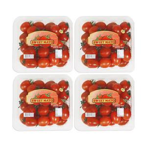 꿀 바른듯 스테비아 방울토마토 스윗마토 2kg (500g*4팩)