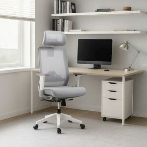 오토노스 C300+ 허리 편한 학생의자 사무용의자