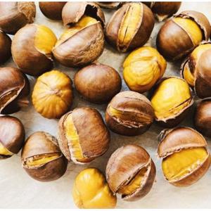 고소 달콤한 칼집 낸 천진 약단밤 1kg