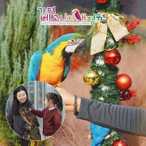 가평베고니아새정원 가을 할인 입장권 단독혜택, 이용기간 최대 12월 31일까지, 주중&주말 공통혜택
