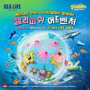 [서울/삼성] 씨라이프 코엑스아쿠아리움 11월