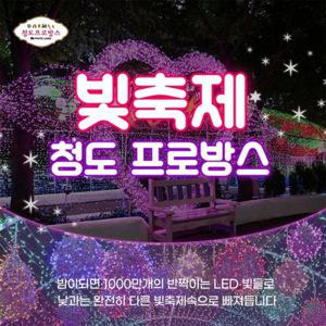 [청도] 프로방스 빛축제