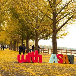 [당일여행] 가을로 물든 아산, 예산(외암민속마을, 아산은행나무길, 예당호출렁다리, 수덕사)