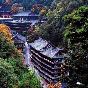 [당일여행] 단양 소백산 구인사, 만천하스카이워크, 단양강 잔도, 도담삼봉