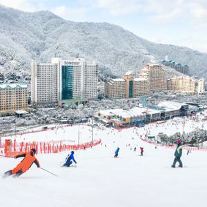[슈퍼트립] 오픈특가, 홍천 비발디파크 리프트/렌탈/스노위랜드/오션월드 중 택1 구매, 주중&주말&대인&소인 공통