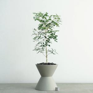 꽃피는 오렌지자스민 MG-2 무광 그레이 화분 인테리어화분 집들이선물 거실화분