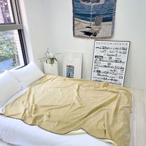 라이트 골드 베이지 소프트 허니 블랭킷 쇼파 커버 극세사 이불