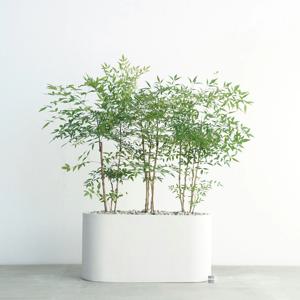 남천 화이트 일자형 플랜트박스 야외정원 베란다인테리어 테라스화분 실외조경