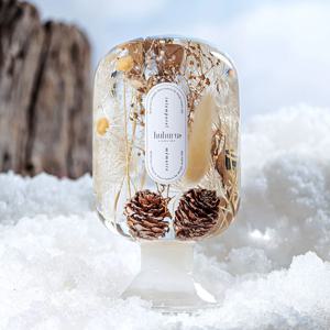 홀리데이 한정 플랜트 오브제 - Nutcracker's Dream 호두까기의 꿈