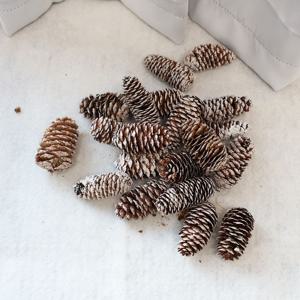 빈티지 화이트 잣나무 솔방울 오너먼트 150g 크리스마스 트리장식 원예 원데이 수업재료