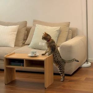 E0등급 메이저 멀티 사이드 테이블 협탁 2colors