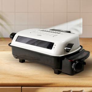 대원 생선구이 양면 전기 그릴 듀얼히팅 바베큐 그릴 DW-FG04