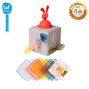 어반가든 팝업 티슈박스