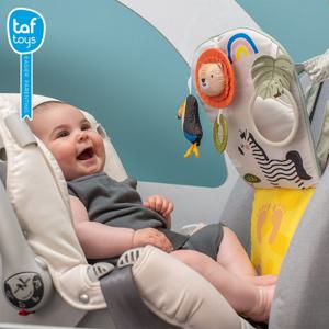 [타프토이즈] 사바나 플레이 앤 킥 카토이 _카시트장난감