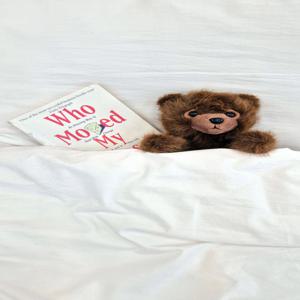 크리스마스인형 곰인형 브라운베어 미니베어 3size