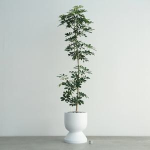 수직형 홍콩야자나무 MW-2 무광 화이트 대형 화분 특대형식물 인테리어화분