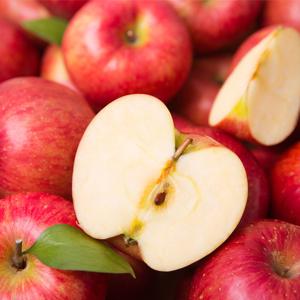 간편한 국내산 바른 주스용 부사 사과 5kg/8kg/10kg/13kg