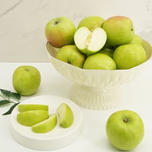 초록빛 국내산 가정용 썸머킹 아오리 사과