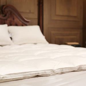 매트리스 구스토퍼 에볼론 퀸