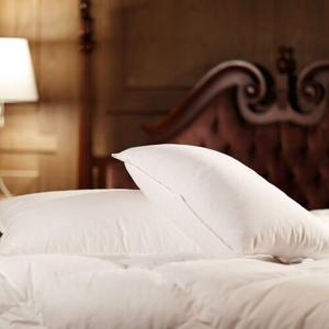 로얄에볼론 구스다운 베개솜