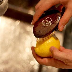 * 공식/독일정품* 레데커 돈모 과일세척용 브러쉬