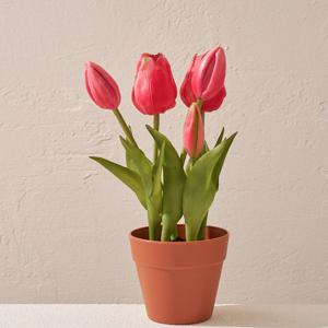 리얼터치 미니 튤립화분 x5 24cm 핑크