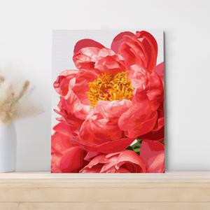 DIY 명화그리기 붉은 모란 60x75cm