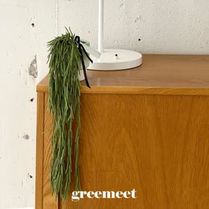 리얼플랜트 립살리스 조화 화분세트