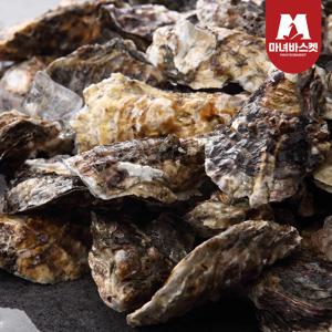 통영 석화 각굴 5kg