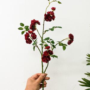 레드 메르시장미 조화, 자나장미 생화같은조화