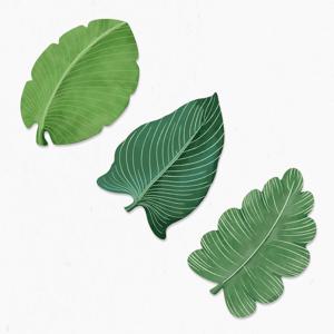 인테리어 나뭇잎 규조토 발매트 3type 화장실 욕실 매트