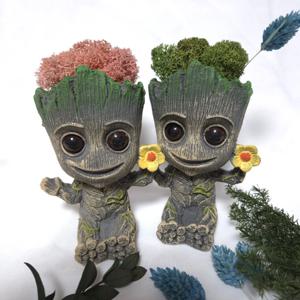 스칸디아모스 그루트 화분 천연이끼 실내공기정화 식물 집들이 선물