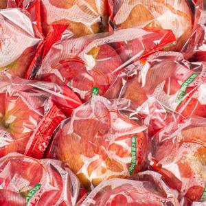 껍질째 먹는 개별포장 사과 2.5kg 15과내